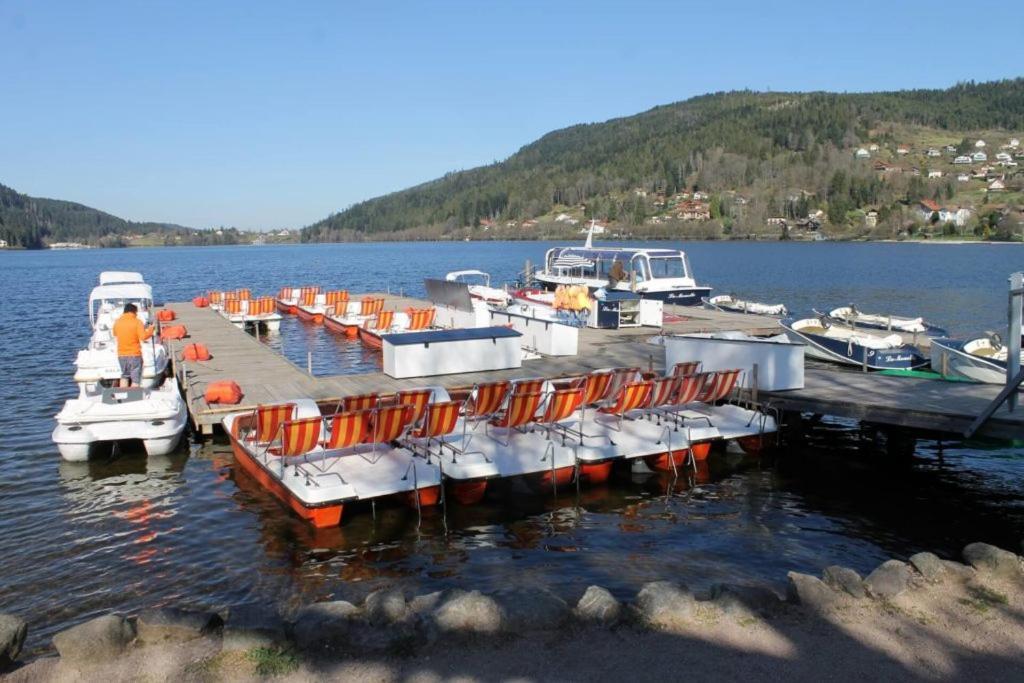 Beau Duplex A Proximite Du Lac De Gerardmer Avec Place De Parking Luaran gambar
